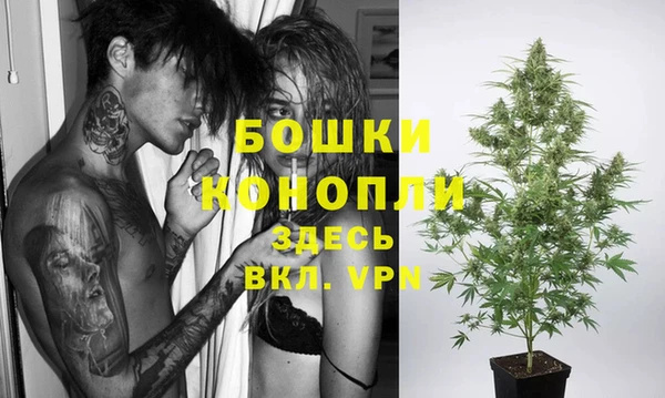 ALPHA PVP Белокуриха