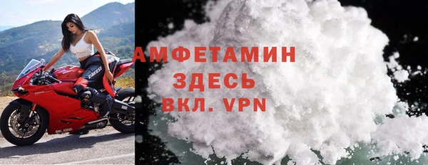 спиды Богданович