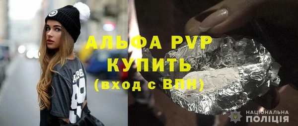 спиды Богданович
